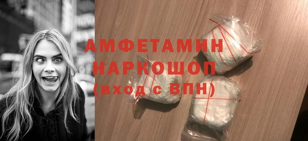 шишки Каменка