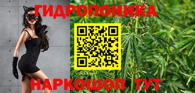 каннабис Аргун