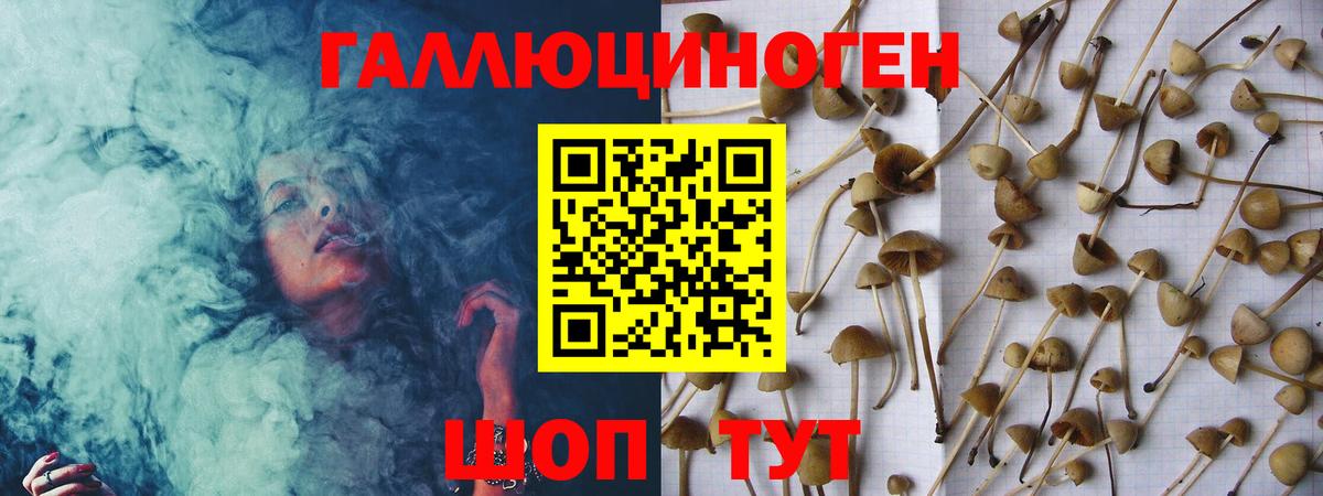 Псилоцибиновые грибы мицелий Борисоглебск