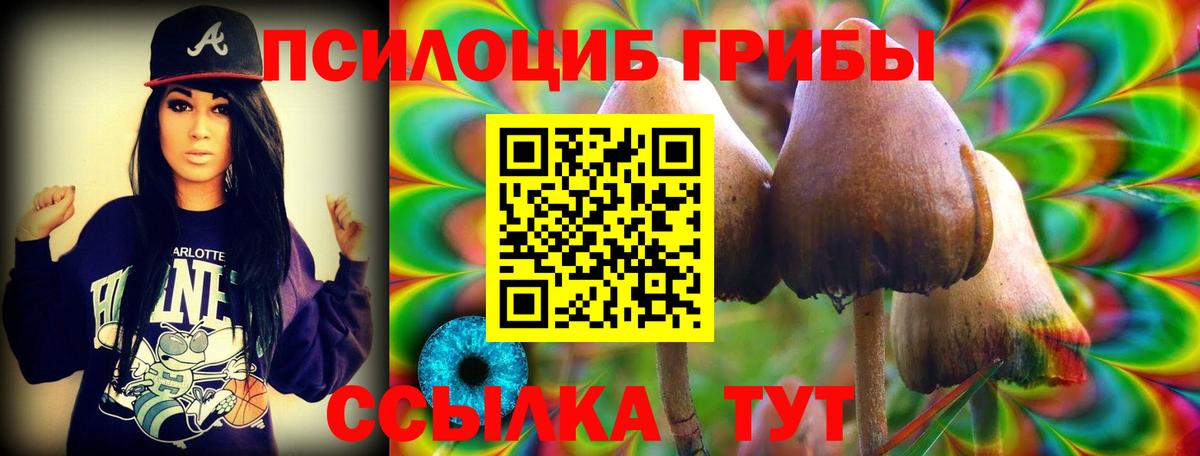 Галлюциногенные грибы прущие грибы  Псилоцибиновые грибы Cubensis  Вход с VPN  Борисоглебск 